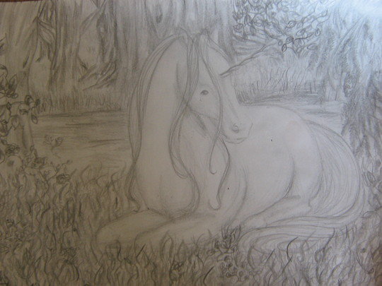 Unicorn in the wood :)